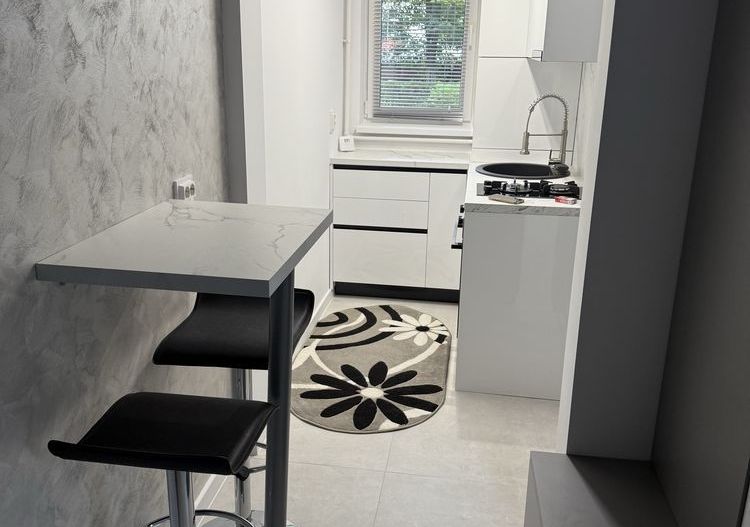 Apartament cu 2 camere la prima inchiriere | 41 mp | Plopilor - Poză 6