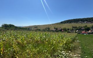 Teren, 1734mp,  intravilan, zona Remetea - Poză 1