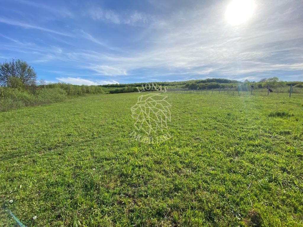 Teren 2160 mp - pretabil pentru cabana - investitie - Jelna - Poză 8