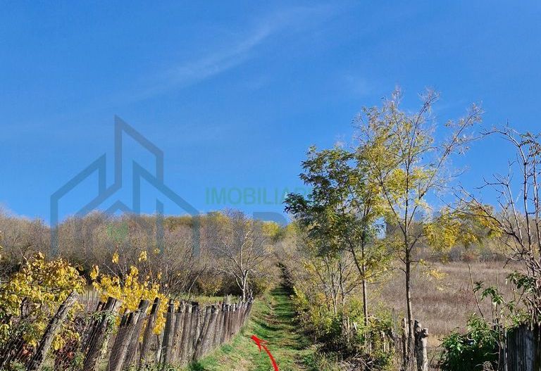 Teren intravilan 1308 mp Rediu | 9 min Copou / Pacurari - Poză 6