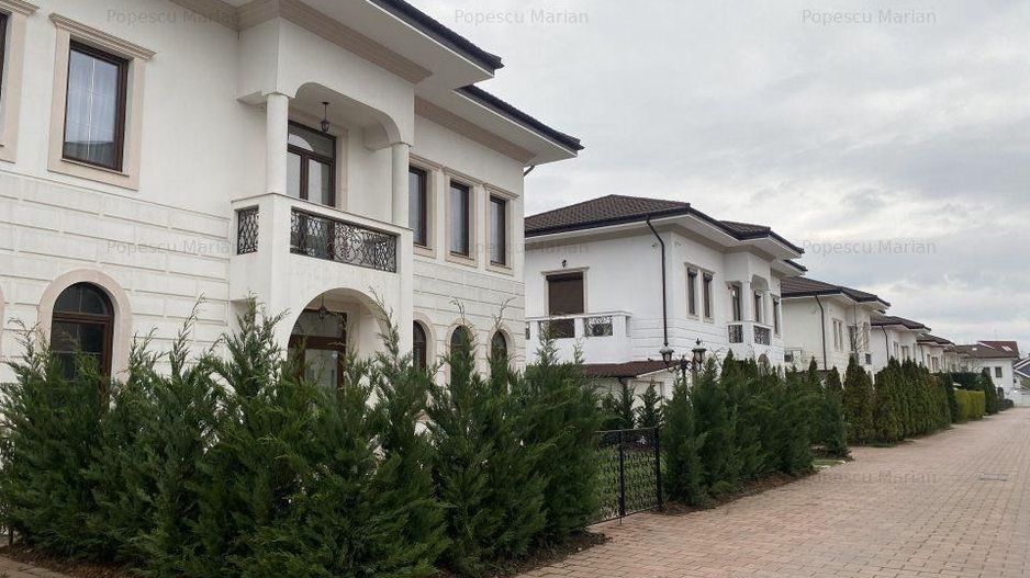 VILA CASA DE INCHIRIERE IN ZONA EROU IANCU NICOLAE PIPERA - Poză 7