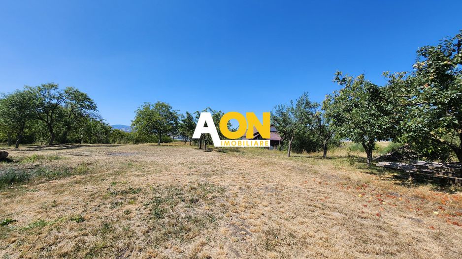 De vanzare teren 10.651mp intravilan, parcelabil, Oarda de Sus - Poză 9