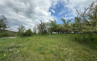 Teren intravilan construibil – 2.100 mp | Căianu - Poză 6