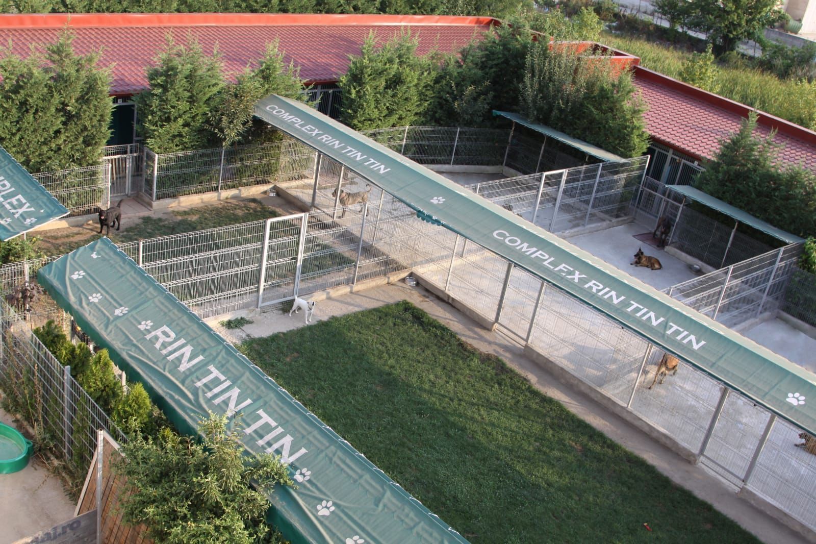 Oferta zilei! Spatiu comercial versatil Voluntari - Poză 8