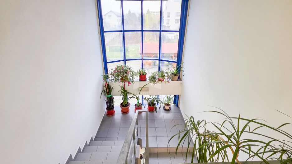 Spațiu industrial–afacere catering la cheie, teren&hală 750 mp S+P+1E - Poză 9