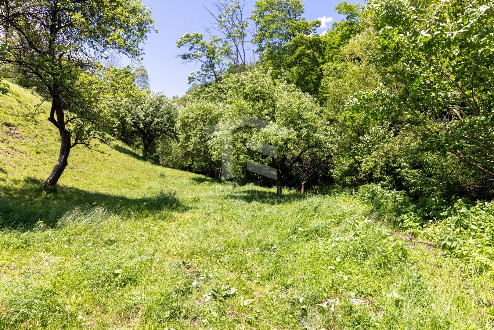 Moieciu de Jos |Teren 11.381 mp | Panoramă, potențial turistic - Poză 17