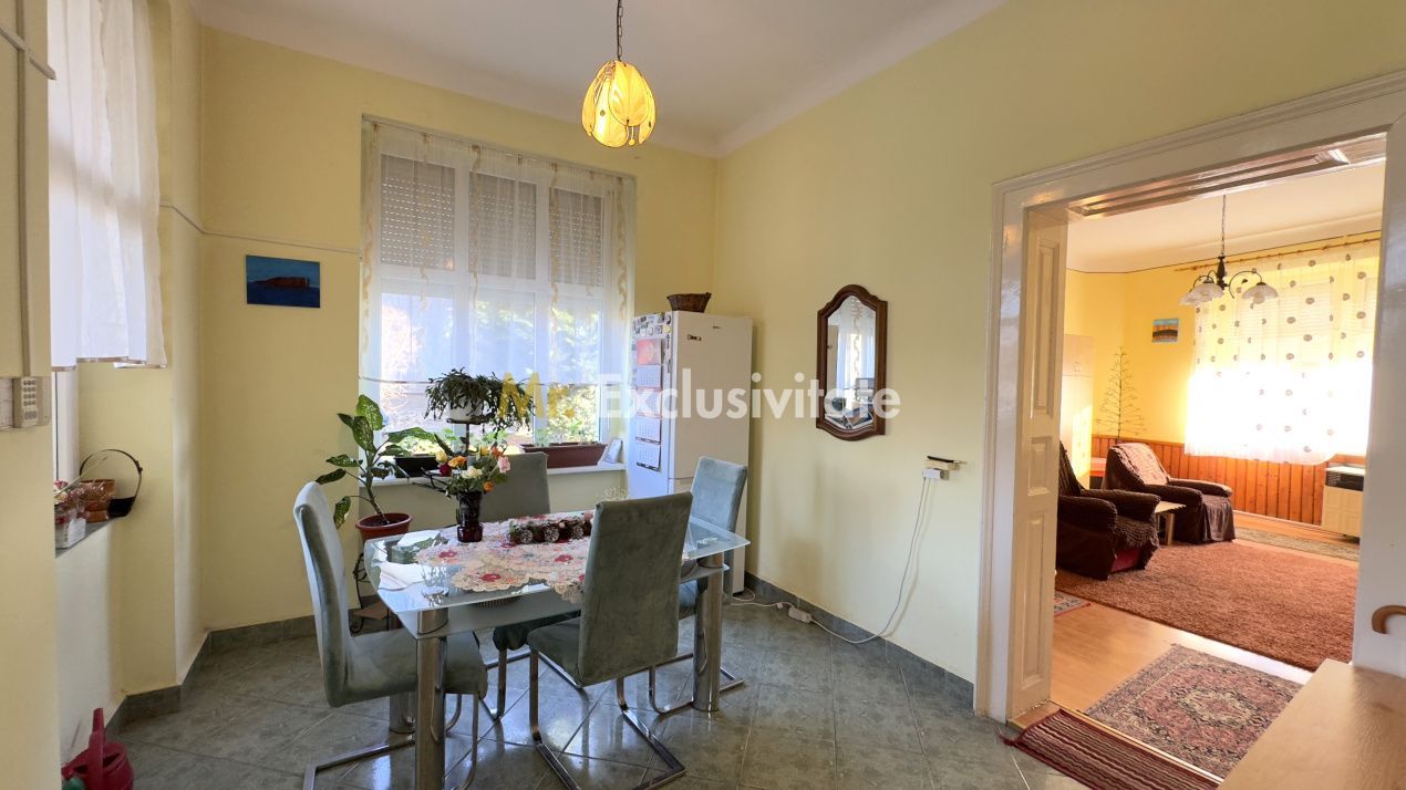 Casă 4 camere cu Teren 2.974 mp | Rezidență sau afacere | Carei - Poză 16