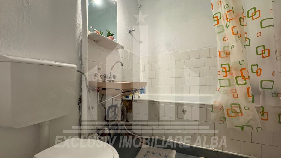 Apartament cu 2 camere de vanzare, Cetate - Poză 5