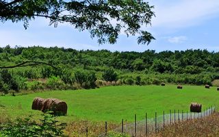 Parcele teren 4038 mp - Parcelabil - Zona Valea Stanelor - Poză 1