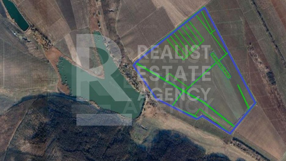 Vânzare, teren, 110 ha, sat. Țînțăreni, Anenii Noi - Poză 1