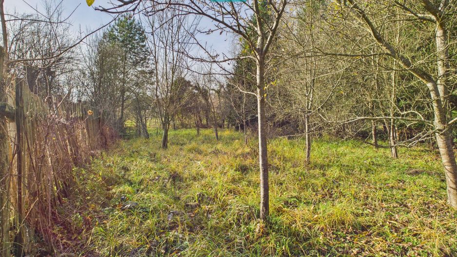 Casă P+E+M cu teren 8163 mp – Roşia Nouă (Petriş) - Poză 13