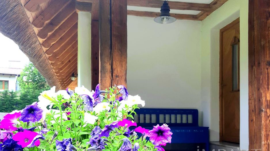 Casa traditionala de vis, aproape de Cluj-Napoca - Poză 19