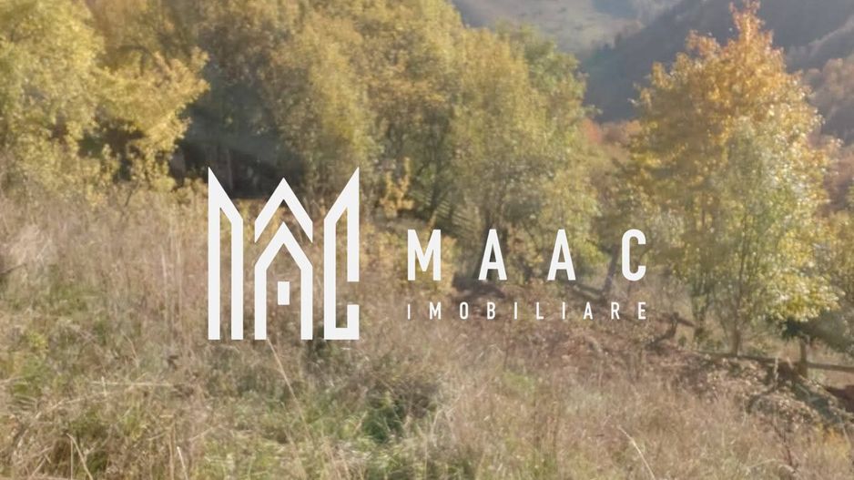 Super ofertă 35000 teren in Muntii Apuseni - Poză 1