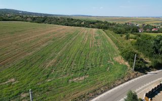 Teren de vânzare, Com. Sarata, Jud. Bacău - Poză 6