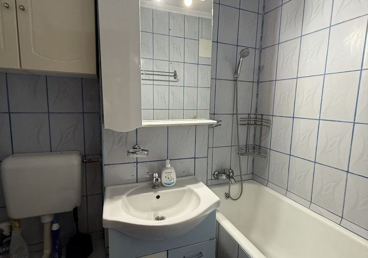 Apartament IOR/Park Lake - Poză 5