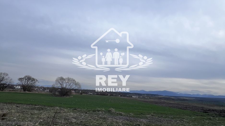 Teren intrevilan de vânzare Turnișor - Poză 3