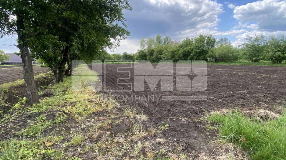 Teren Intravilan | 22 ARI | Horodnic De Jos - Poză 3