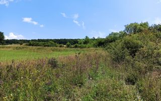 Parcele teren 4038 mp - Parcelabil - Zona Valea Stanelor - Poză 4