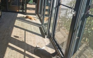Vila Premium 2022 Branesti - Ilfov Vadu Anei I COMISION 0% I 5 camere - Poză 17