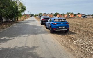 Teren intravilan 16.248 mp - Domnesti - Poză 3