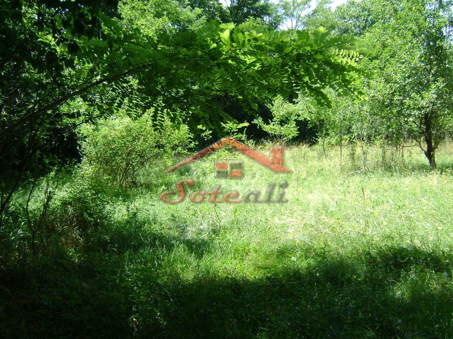 Teren de vanzare in Cornu 1585 mp - Negociabil - Poză 5