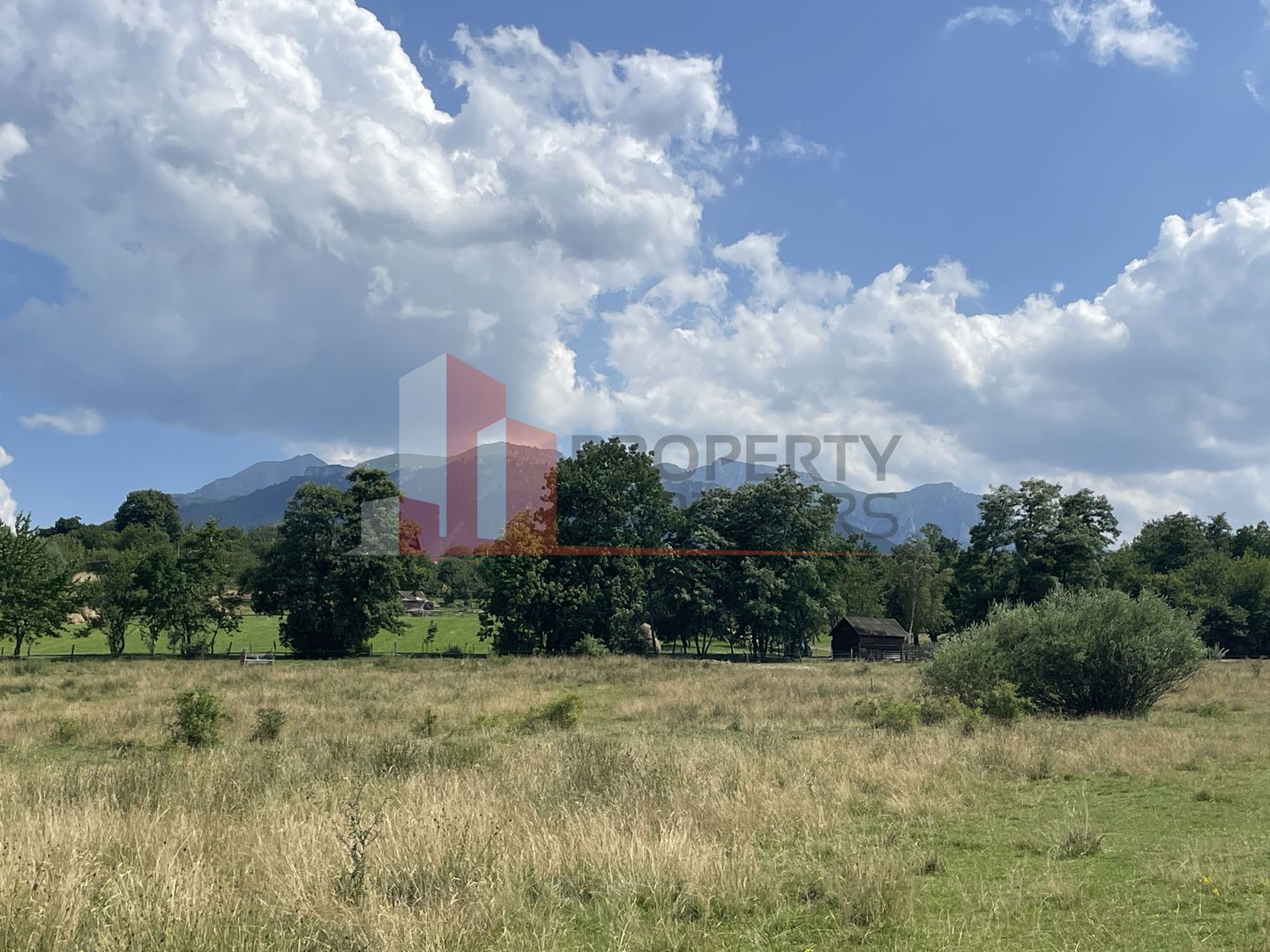 Teren de vanzare in  Tohanu Nou-Sohodol 6200 mp - Poză 1
