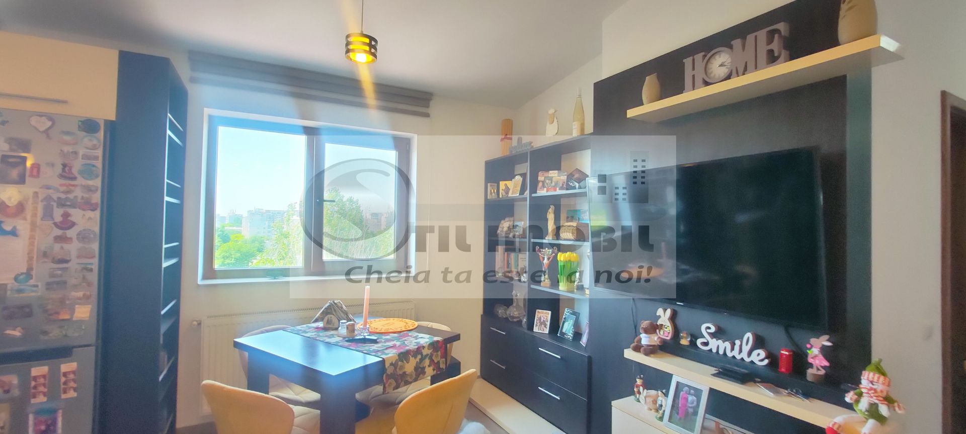 3 CAM TATARASI OANCEA  69 MP  LOC DE PARCARE, VEDERE PANORAMICA PALAS - Poză 8