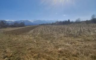 Teren extravilan de vanzare - Arpasul de Sus - Poză 7