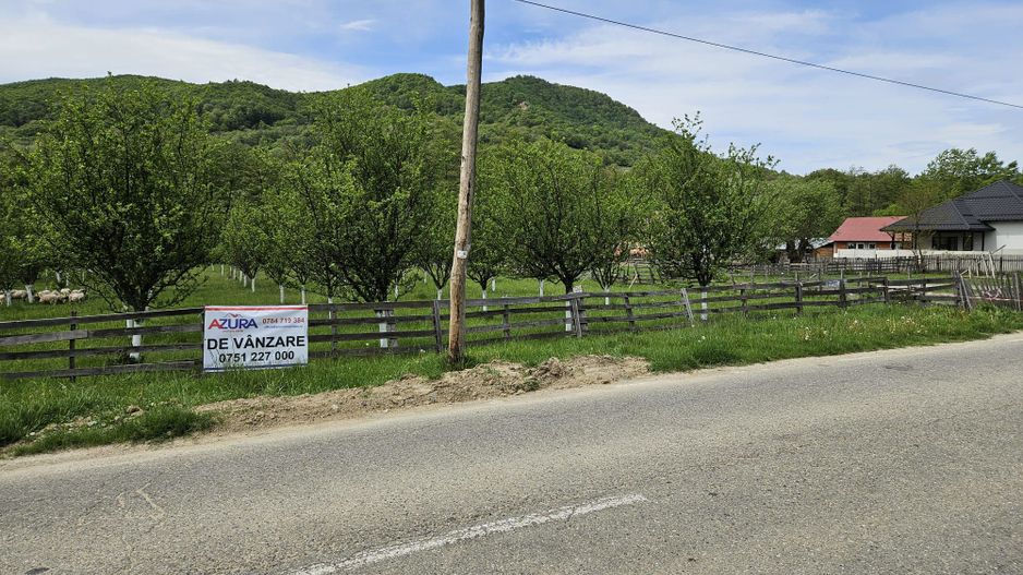 Vanzare teren zona munte, Corbi - Poză 7