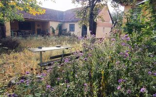 🏡  Casă de Poveste în Șiria, Arad- Locație Rară - Poză 1