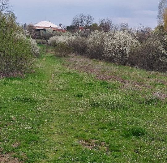 Teren Topoloveni - 3670 mp - langa padure, aproape de Centrul orasului  - Poză 3