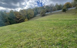 Teren extravilan cu priveliste catre Bucegi – Moieciu de Jos 4.700 mp - Poză 9