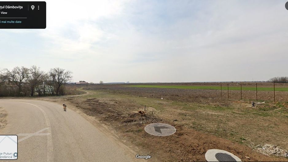 1.200 mp I CREVEDIA - SAMURCASI I UTILITATI IN ZONA I COMISION 0% - IMOZONE - Poză 1