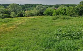 De vânzare Teren versatil 3.919 mp  in localitatea Armeni. Sibiu - Poză 7