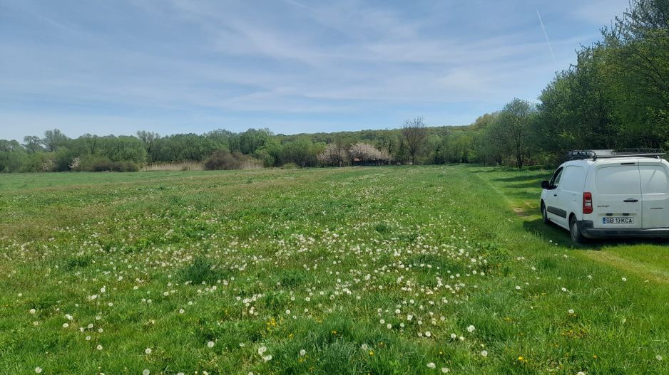 Teren de vanzare intravilan 5000 m2 Cisnadie zona SOMA - Poză 5