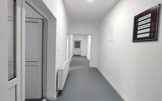 Inchiriere Spații de Birouri/Producție - Str. Uzinei - Carei - Comision 0% - Poză 13
