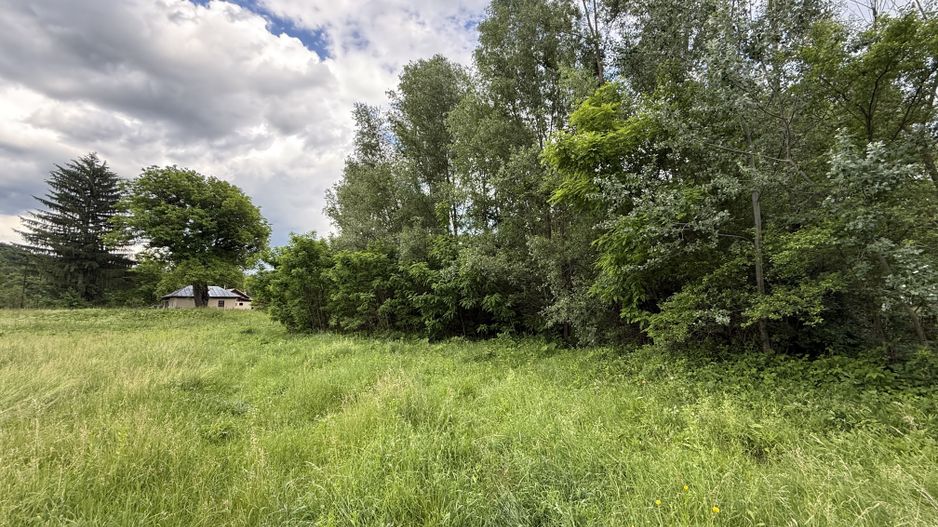 Teren plat-intravilan -3800 mp, cu pădurice și ieșire la râu! - Poză 10