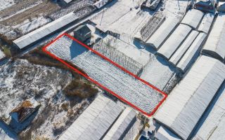 Teren intravilan de 1430 mp în Târgu Frumos, strada Panduri - Poză 1
