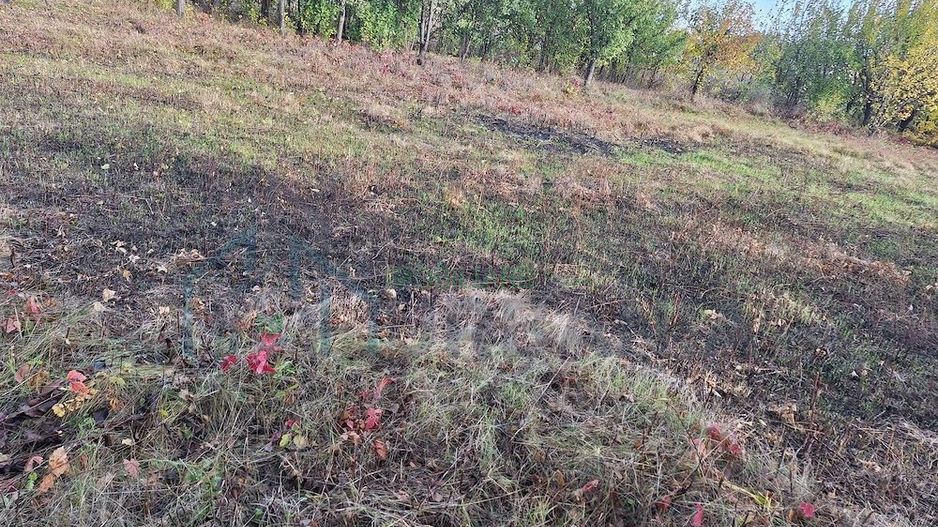 Terenuri intravilane în Horlești-Rediu, Iași, zone rezidențiale - Poză 2