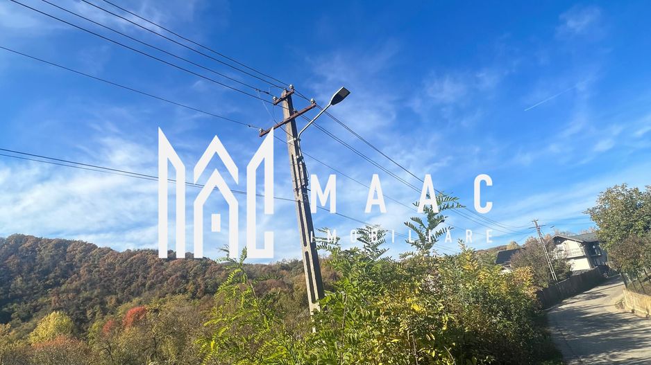 Teren | Vladesti | 1000 MP - Poză 3