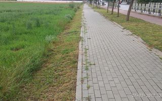 Teren pentru P+2 Alba-Micesti 3636 mp - Poză 1