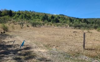 TEREN 5000 MP I SĂLIȘTE I PARCELABIL - Poză 1
