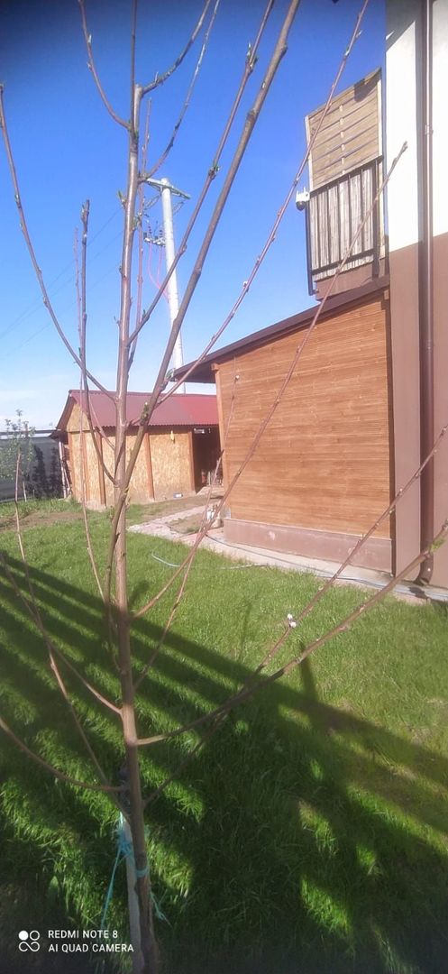 casa Comuna Berceni - Poză 4