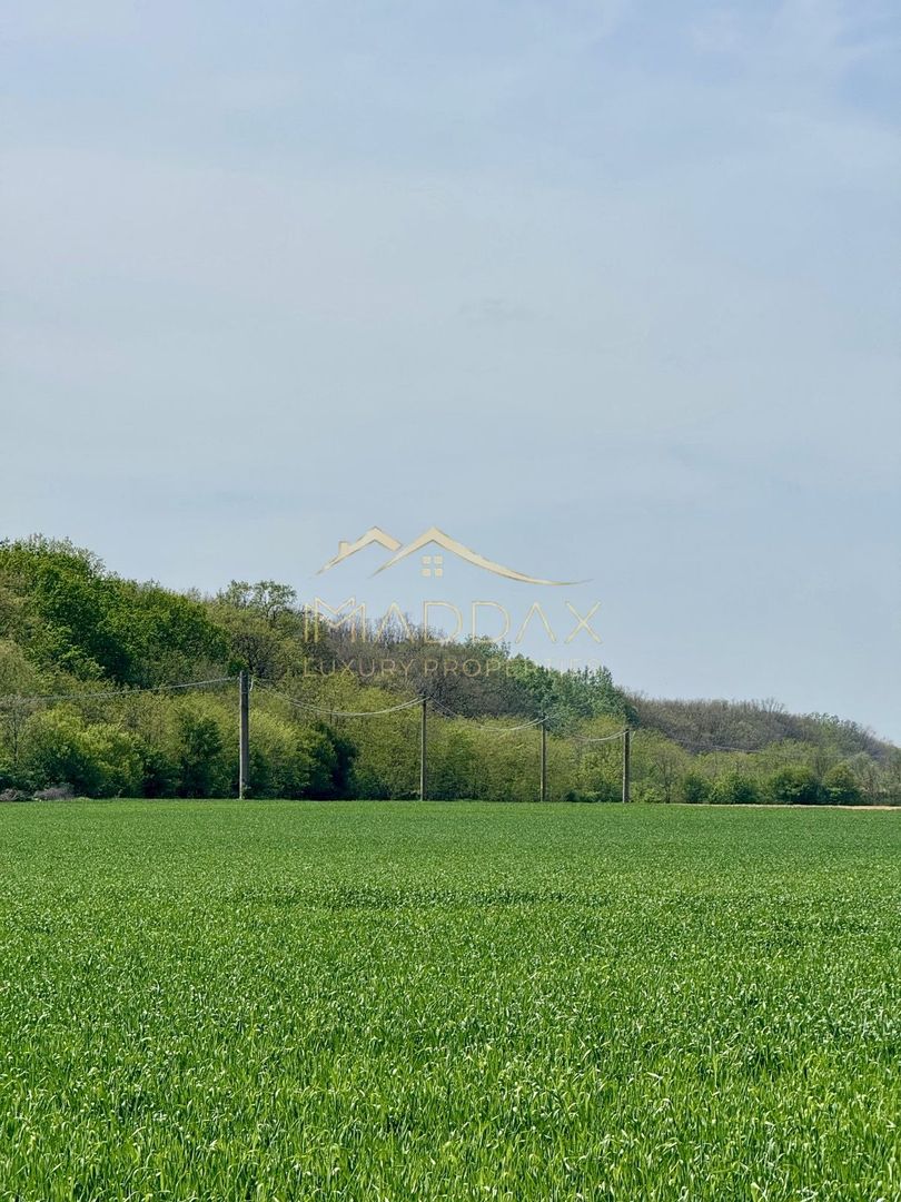 Teren Extravilan **7008 mp**Zona rezidentiala//Tamasi//Corbeanca - Poză 1