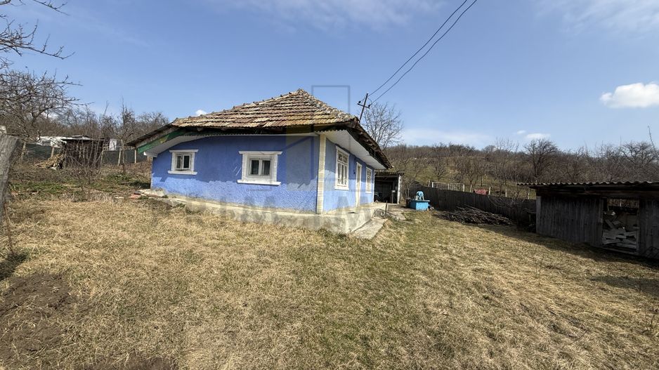 Teren intravilan Dobrovat + Casa Batraneasca - Poză 3