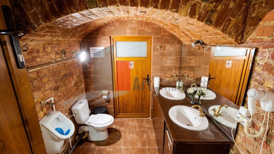 Vila S+P+1e+Ma arhitectura deosebita | zona Piata Romana/Amzei - Poză 14