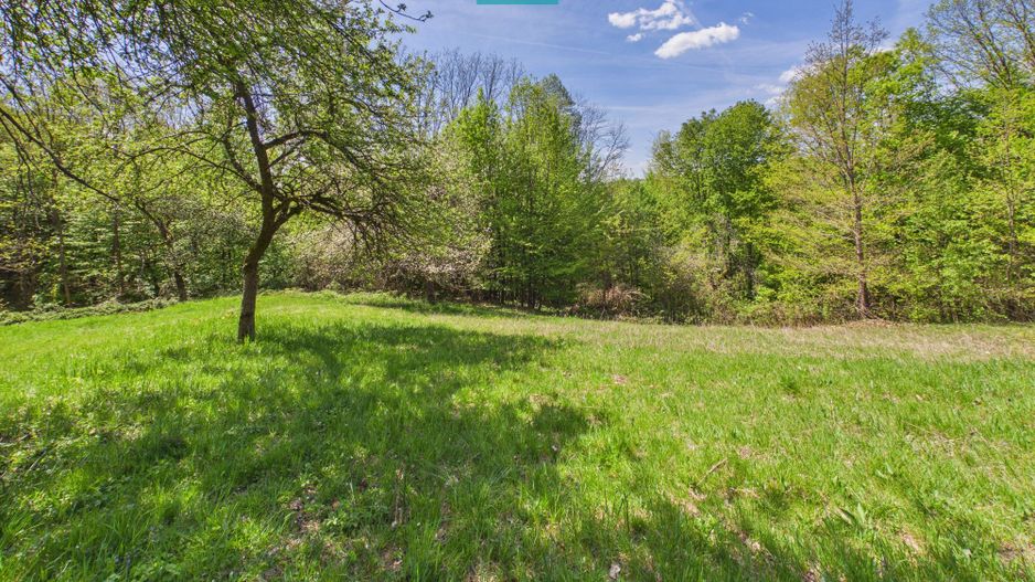 Proprietate rară cu 24.270 mp, în Măgulicea, Arad! - Poză 42