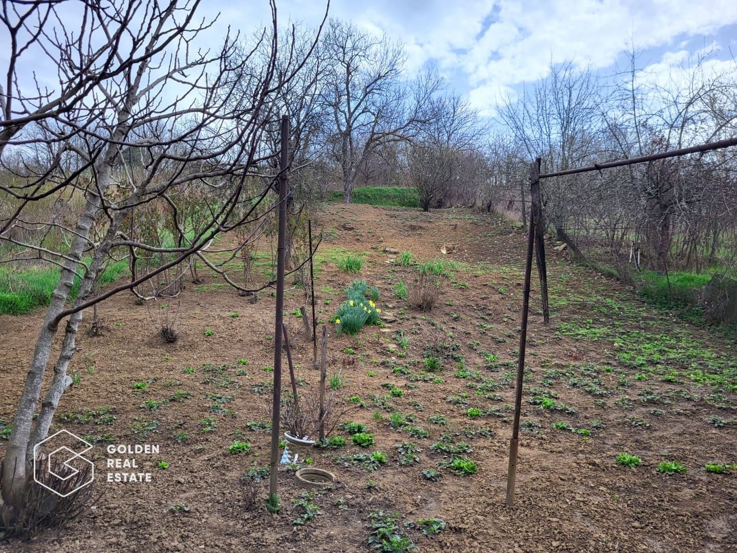 Casa in localitatea Lipova - Poză 3