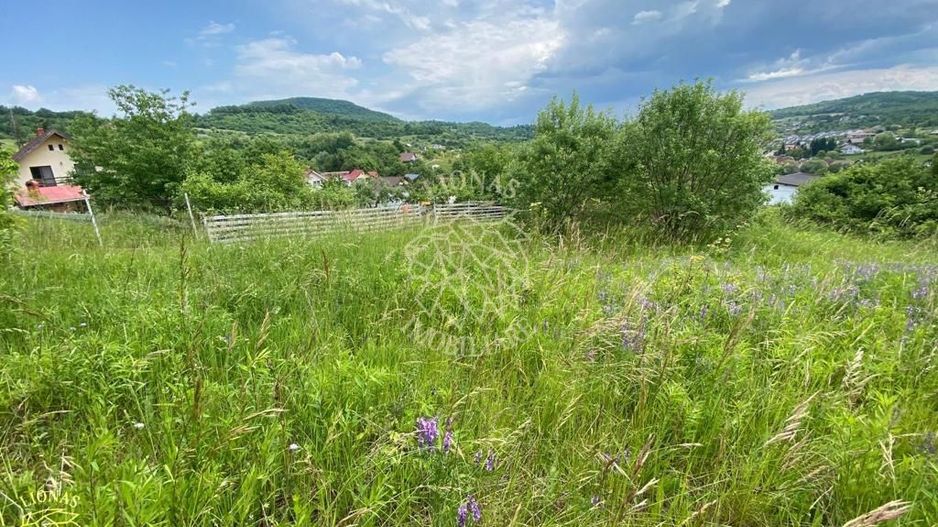 Teren intravilan 2800 mp cu utilitati-ideal case-Valea Ghinzii - Poză 5