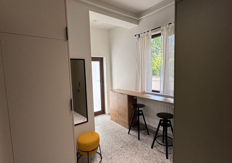 Garsoniera centrala renovata, Pache Protopopescu, PRO TV - Poză 3